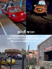 カリフォルニアディズニー【アドベンチャーパーク】🎡✨