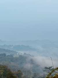 Must-see Borobudur Temple at dawn! 