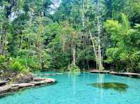 Baan Nam Rad Forest