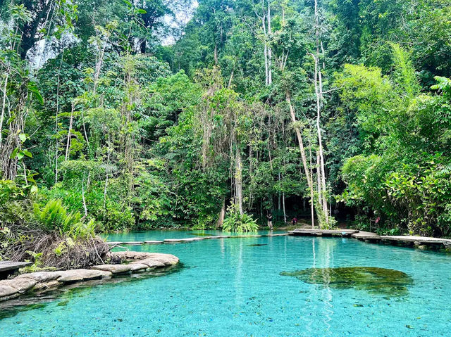 Baan Nam Rad Forest
