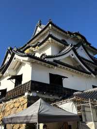 日本現存12天守-彥根城