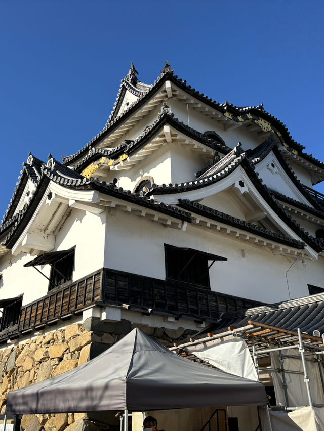 日本現存12天守-彥根城