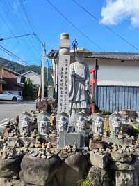 Forest Bamboo Kyoto: A Journey Through Stillness