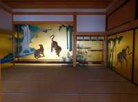 🏯 Timeless Beauty and Family Fun at Nagoya Castle