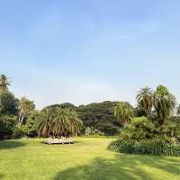 🌿達爾文私藏文藝系路線｜免費博物館 + 熱帶植物園，拍照好逛又好涼🎨🌳