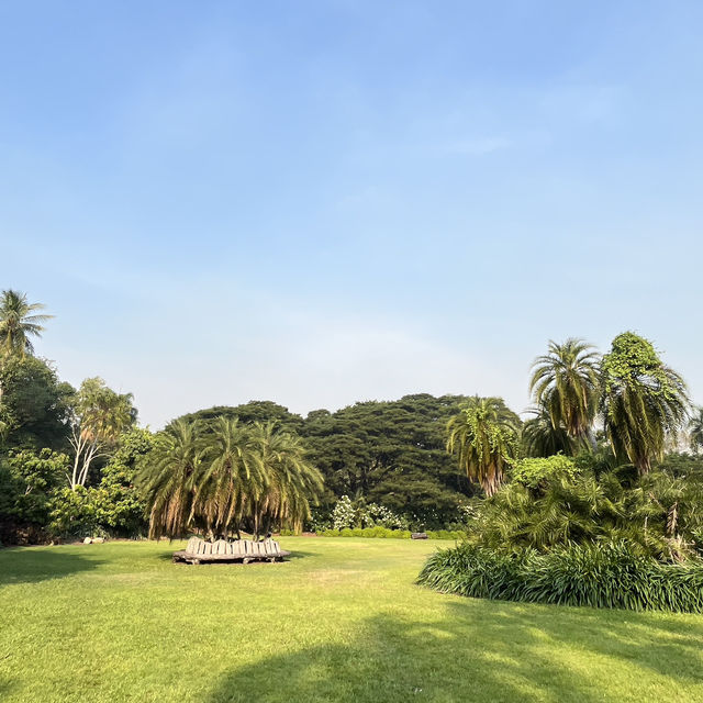 🌿達爾文私藏文藝系路線｜免費博物館 + 熱帶植物園，拍照好逛又好涼🎨🌳