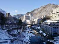 🏞️ Tranquil Retreat in Nature – Shogetsu Grand Hotel, Jozankei