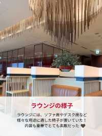 JAL国内線ファーストクラス✈️✨