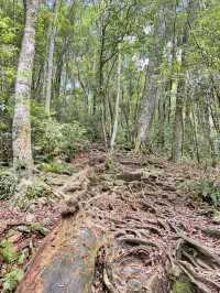 夏天就是要去中級山避暑