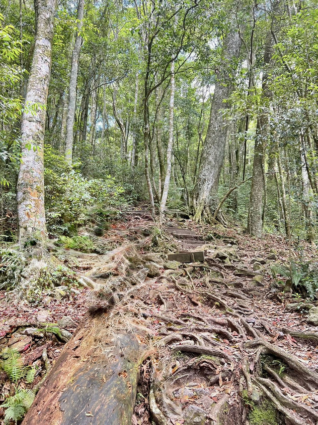夏天就是要去中級山避暑