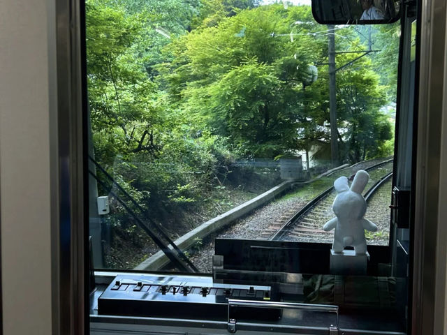 Eizan Electric Railway: My Journey on the "Train to the Green Forest"! 🌳🚃