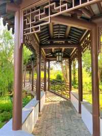 Whispers of Zen in the Heart of Singapore (Bonsai Garden)