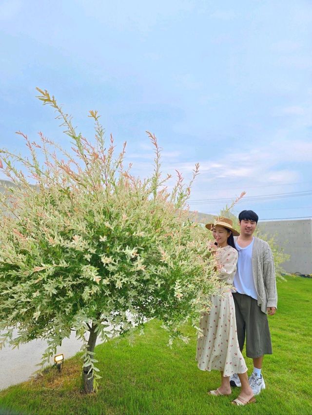 여름꽃 만개한 사랑스런 무안 정원카페🌿
