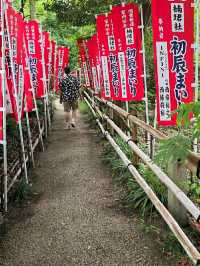 SUMIYOSHI TAISHA.