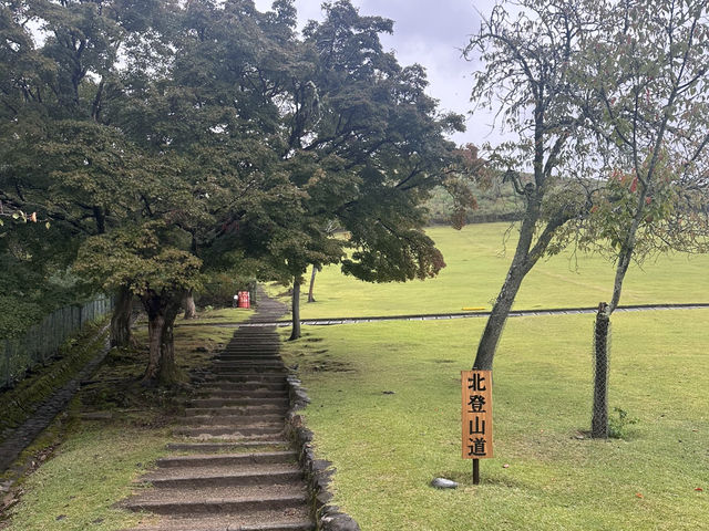 若草山：在奈良的自然懷抱中，享受壯麗的景色與心靈的寧靜！