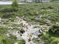 🌲🌊 Mugecuo Lake (木格措) — Highland Gem Near Kangding