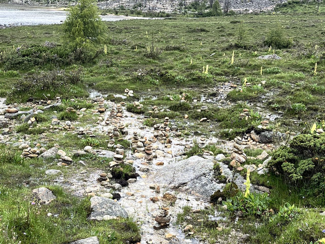 🌲🌊 Mugecuo Lake (木格措) — Highland Gem Near Kangding