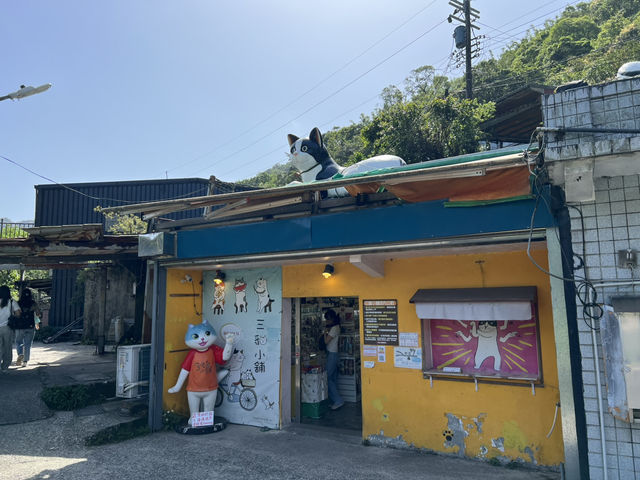 瑞芳侯硐貓村 新北知名景點