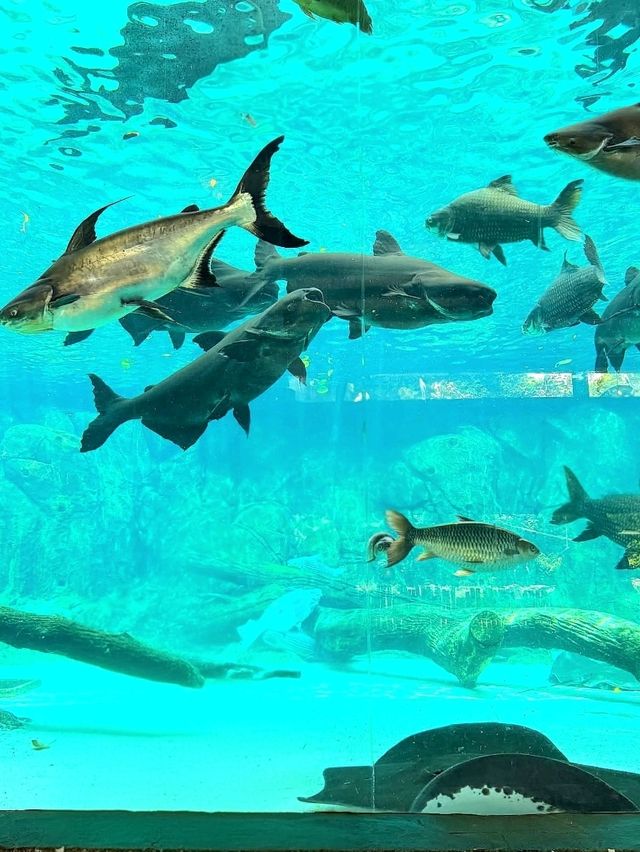 River Wonders: A Fun Wildlife Adventure in Singapore