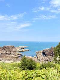 Ocean & Meadows Unbound: A Summer Walk Along Tanesashi Coast