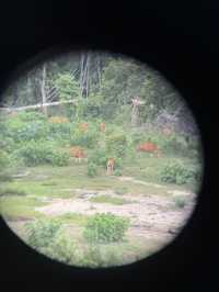 Huai Kha Kang Wildlife Sanctuary