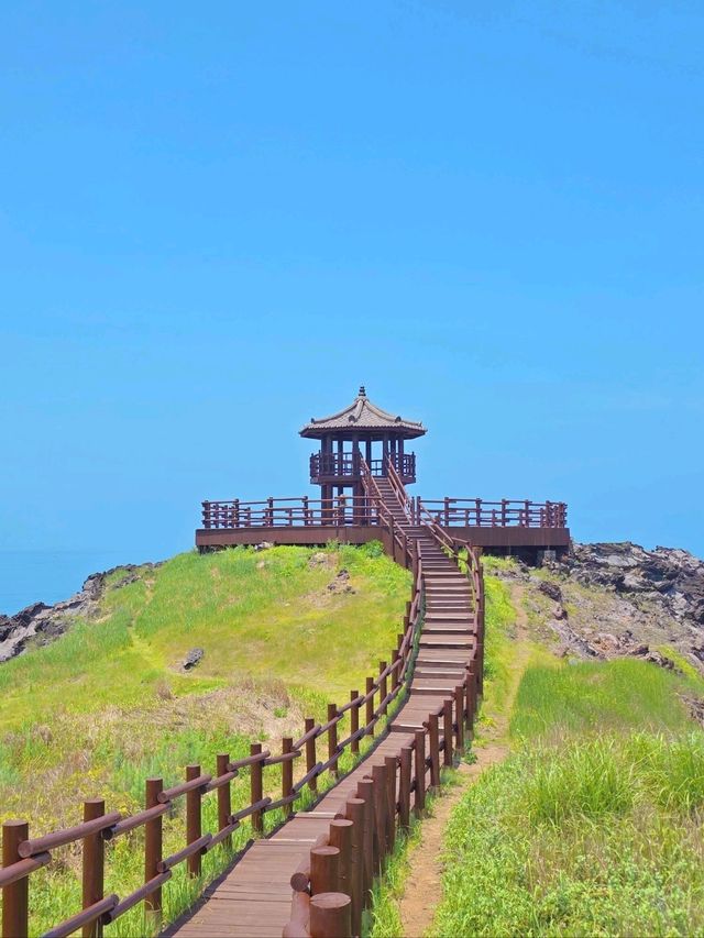 동쪽 여름 가이드🐬