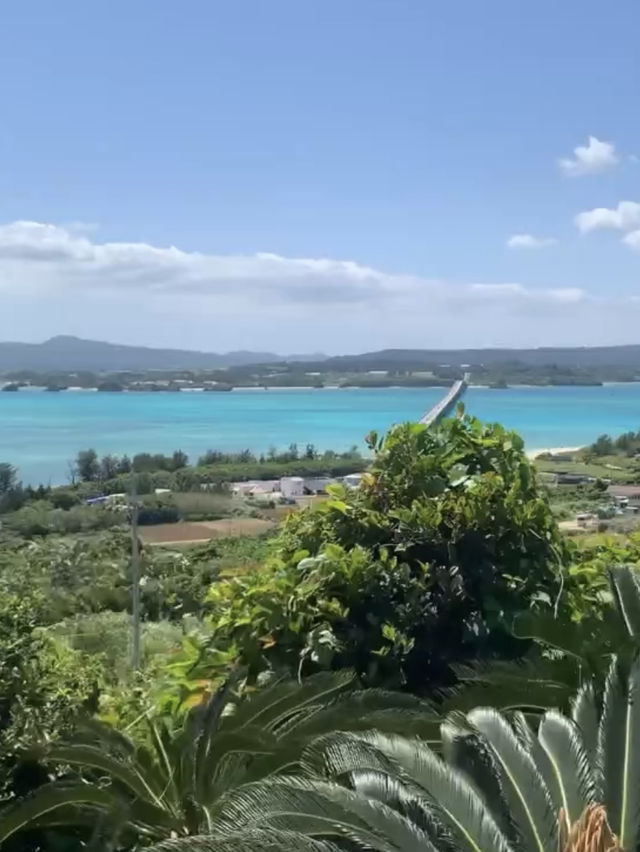 【沖縄県】1泊2日沖縄大満喫旅〜2日目〜