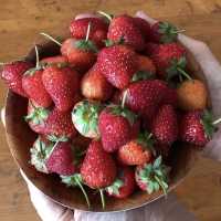 Mali Homemade – Hatyai 