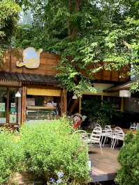 Still Cafe ดาลัด เหมือนหลุดเข้าไปอยู่ในญี่ปุ่น