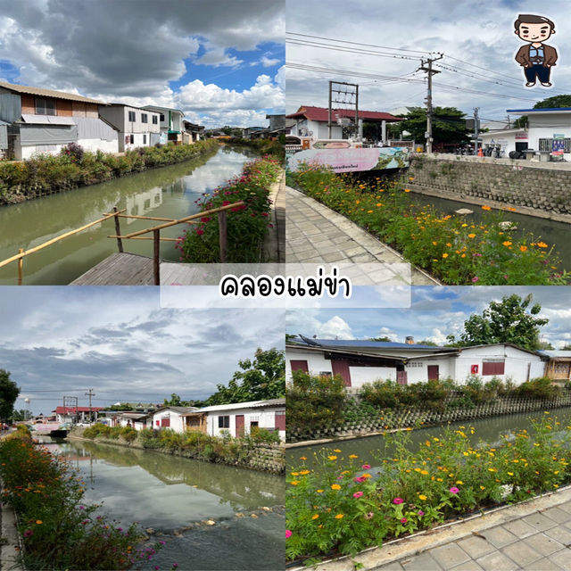 🗺️✨ มัดรวม 17 พิกัด เที่ยวเชียงใหม่ 4 วัน