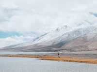 Along the way to PANGONG lake 🚌🌿❄️