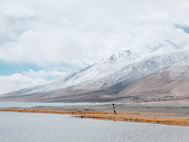 Along the way to PANGONG lake 🚌🌿❄️