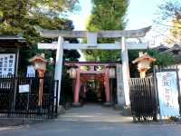 Tunnel of Vermilion Blessings, the Senbon Torii of Otome Inari Shrine