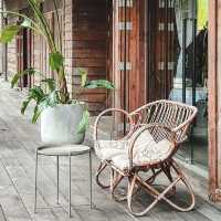 Little Tree Grocery เป็นคาเฟ่เล็ก ๆ 