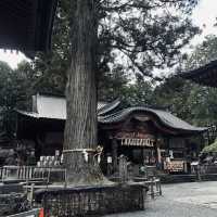 Kitaguchi Hongu Fuji Sengen Shrine