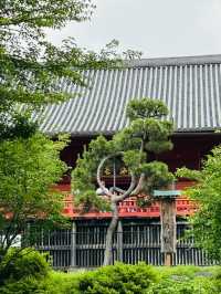 Tokyo’s Cultural Oasis: Welcome to Ueno Park