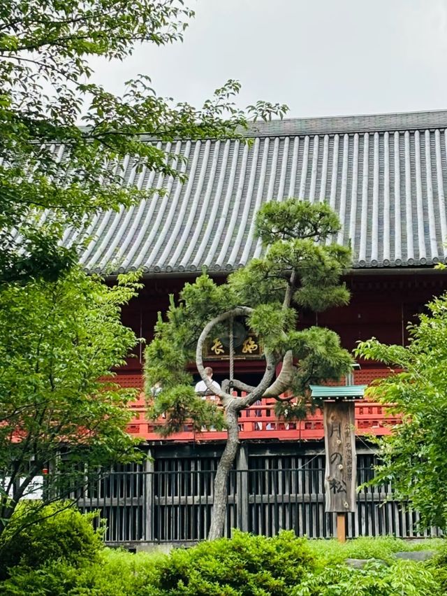 Tokyo’s Cultural Oasis: Welcome to Ueno Park