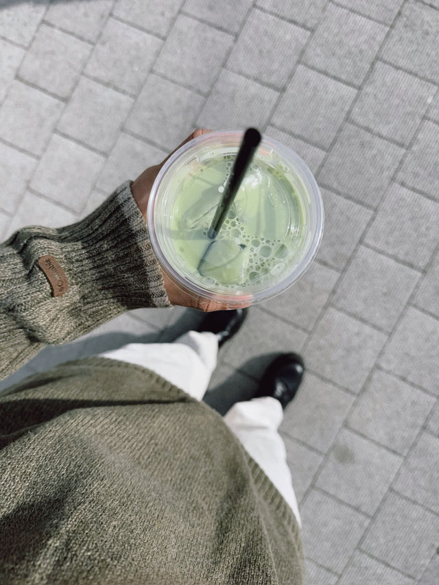 🌿🚃 One Day Trip – Kamakura
