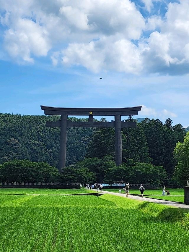 【和歌山グルメ】熊野もうで餅・熊野本宮大社