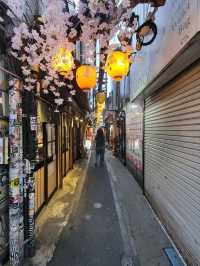 Omoide Yokocho: Lantern-Lit Flavors and Tokyo Whispers