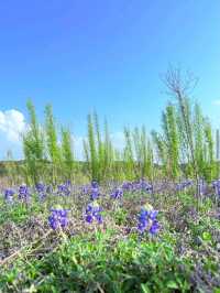 Muleshoe Bend Recreation Area