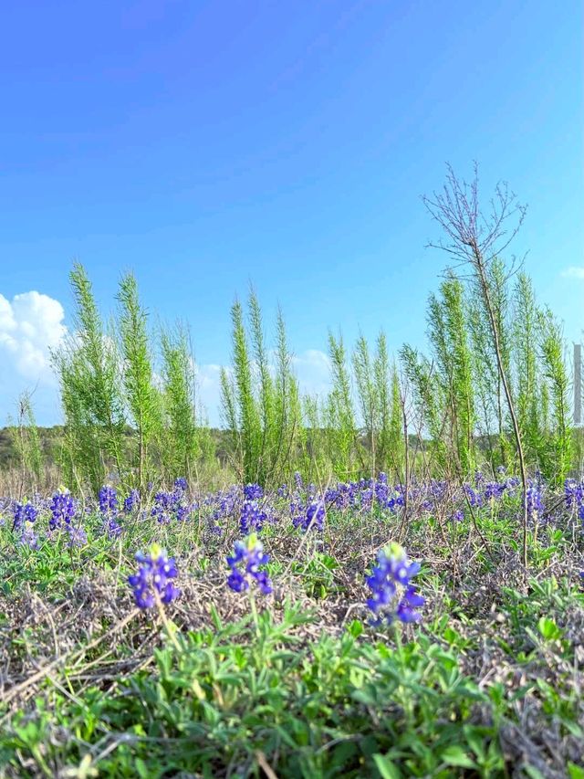 Muleshoe Bend Recreation Area