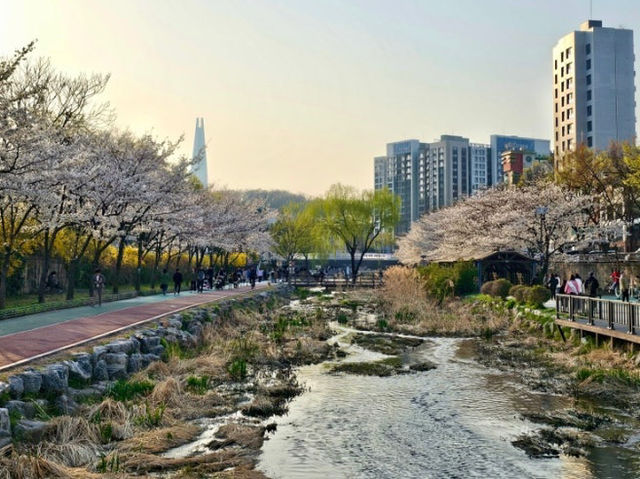 성내천의 봄