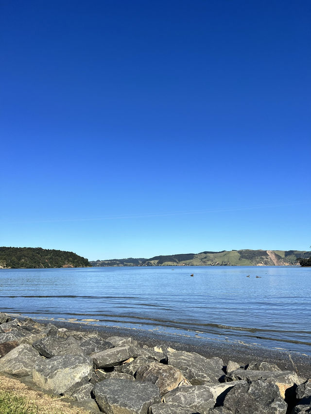 🪨 Huia Beach｜泥灘映山林的靜謐早晨