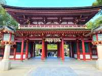 Wishes and Walks at Dazaifu Tenmangu Shrine