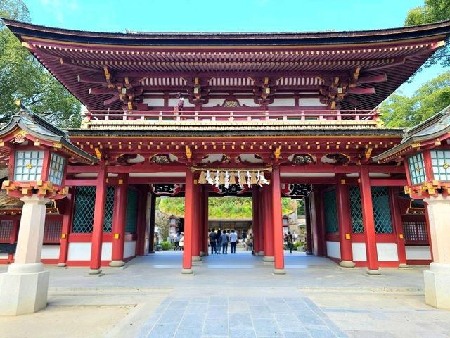Wishes and Walks at Dazaifu Tenmangu Shrine