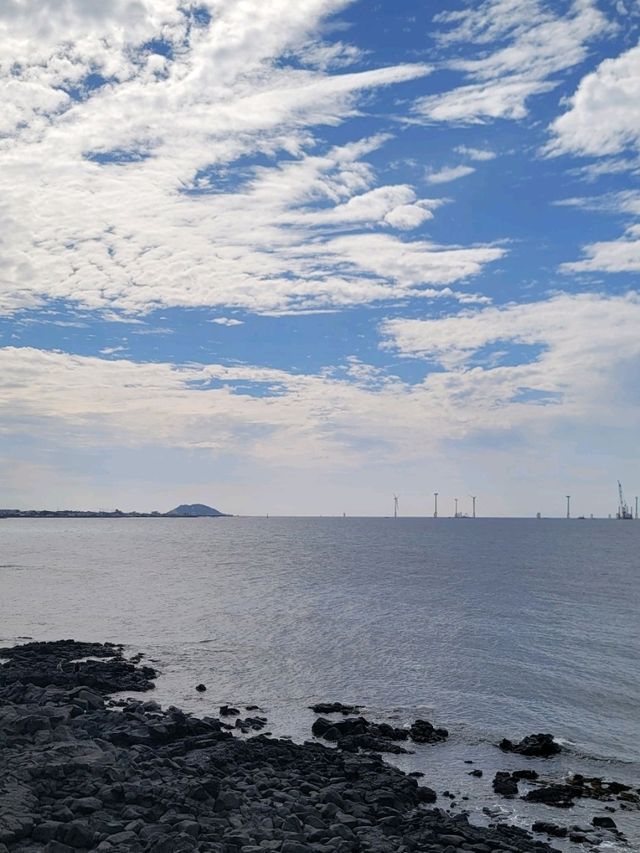 제주도 오션뷰 카페