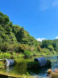 Fairy Lake Botanical Garden 🌺 🍃 