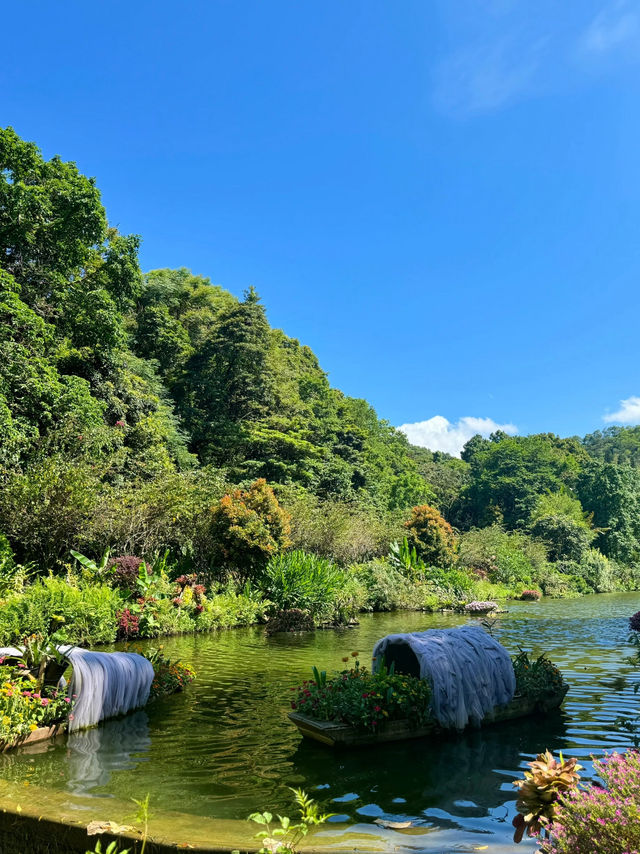 Fairy Lake Botanical Garden 🌺 🍃 