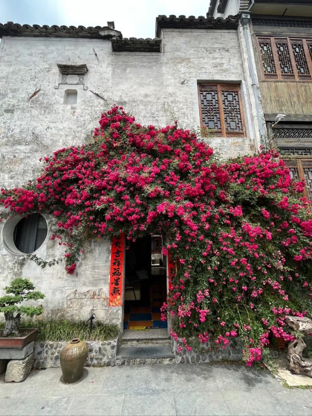 Hongcun: Where History Sleeps in Stone